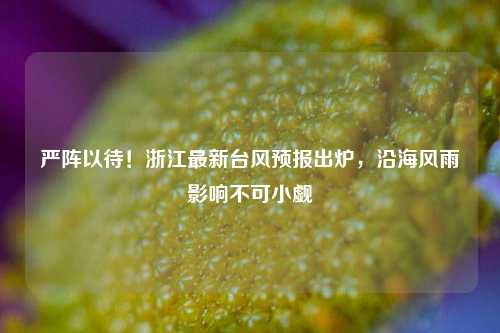 严阵以待！浙江最新台风预报出炉，沿海风雨影响不可小觑