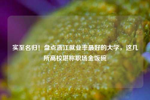 实至名归!盘点浙江就业率最好的大学,这几所高校堪称职场金饭碗