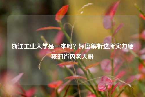浙江工业大学是一本吗？深度解析这所实力硬核的省内老大哥