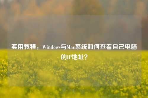 实用教程,Windows与Mac系统如何查看自己电脑的IP地址?