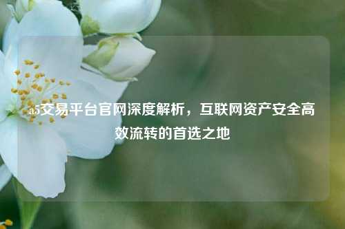 a5交易平台官网深度解析，互联网资产安全高效流转的首选之地