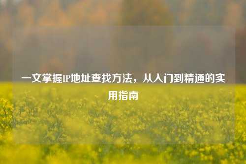 一文掌握IP地址查找方法,从入门到精通的实用指南