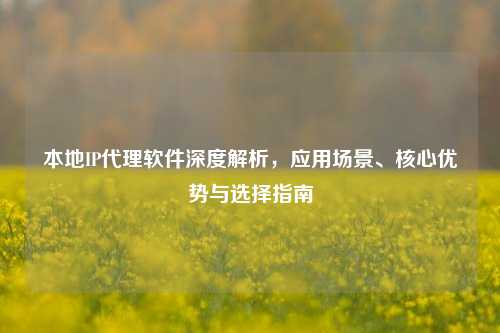 本地IP代理软件深度解析,应用场景、核心优势与选择指南