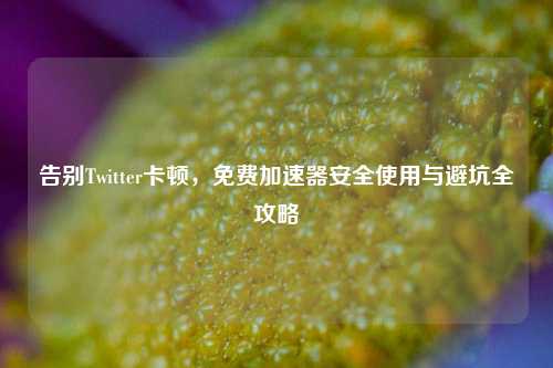 告别Twitter卡顿，免费加速器安全使用与避坑全攻略