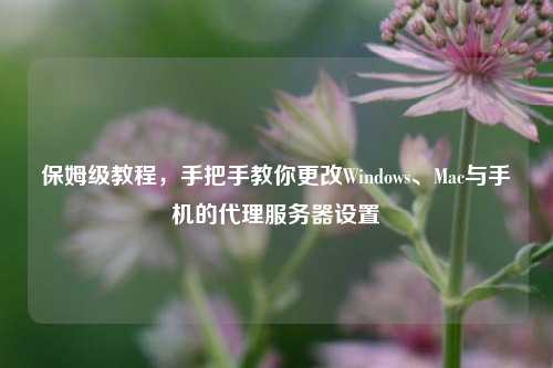 保姆级教程,手把手教你更改Windows、Mac与手机的代理服务器设置