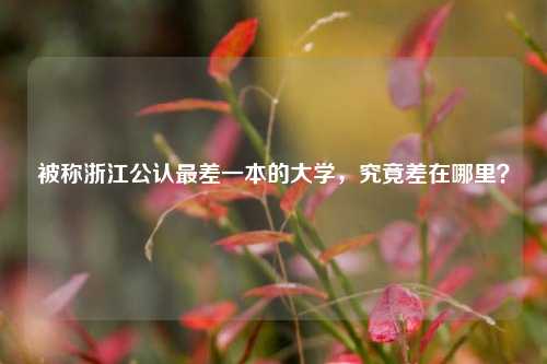 被称浙江公认最差一本的大学，究竟差在哪里？