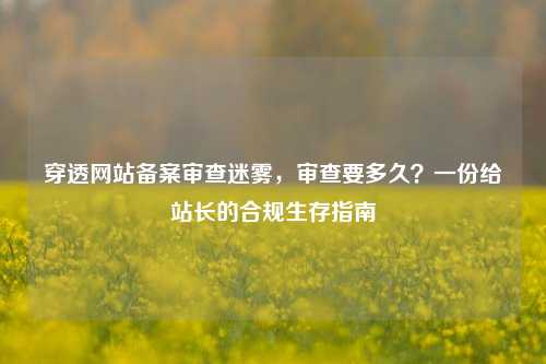 穿透网站备案审查迷雾,审查要多久?一份给站长的合规生存指南