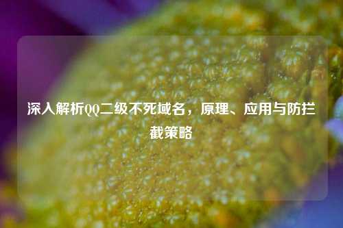 深入解析QQ二级不死域名,原理、应用与防拦截策略