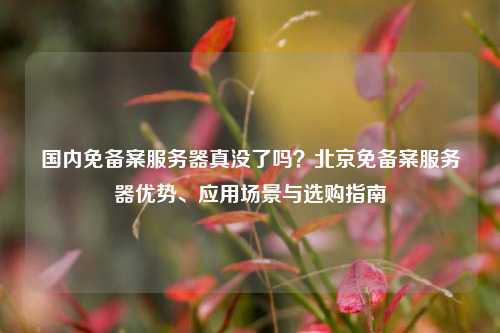 国内免备案服务器真没了吗?北京免备案服务器优势、应用场景与选购指南