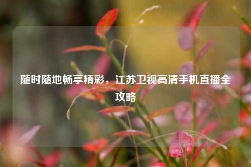 随时随地畅享精彩，江苏卫视高清手机直播全攻略
