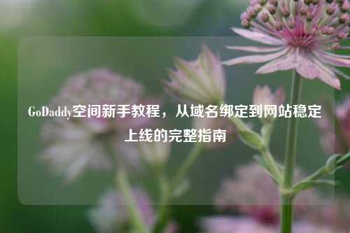 GoDaddy空间新手教程，从域名绑定到网站稳定上线的完整指南