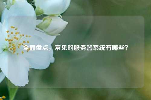 全面盘点,常见的服务器系统有哪些?