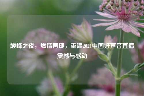 巅峰之夜，燃情再现，重温2021中国好声音直播震撼与感动