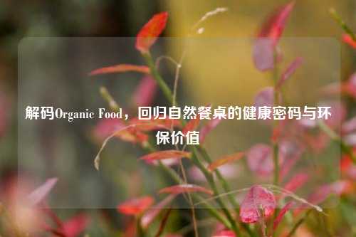解码Organic Food,回归自然餐桌的健康密码与环保价值