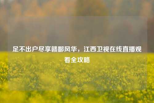足不出户尽享赣鄱风华,江西卫视在线直播观看全攻略