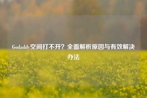 Godaddy空间打不开？全面解析原因与有效解决办法