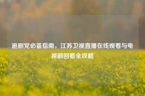 追剧党必备指南，江苏卫视直播在线观看与电视剧回看全攻略