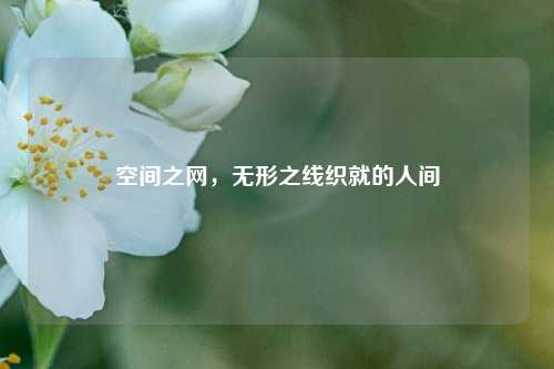 空间之网，无形之线织就的人间