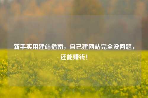新手实用建站指南，自己建网站完全没问题，还能赚钱！