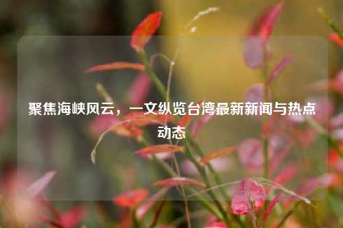 聚焦海峡风云,一文纵览台湾最新新闻与热点动态