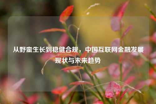 从野蛮生长到稳健合规,中国互联网金融发展现状与未来趋势