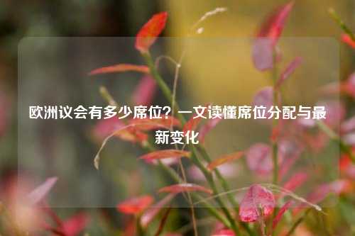 欧洲议会有多少席位？一文读懂席位分配与最新变化