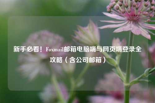 新手必看！Foxmail邮箱电脑端与网页端登录全攻略（含公司邮箱）