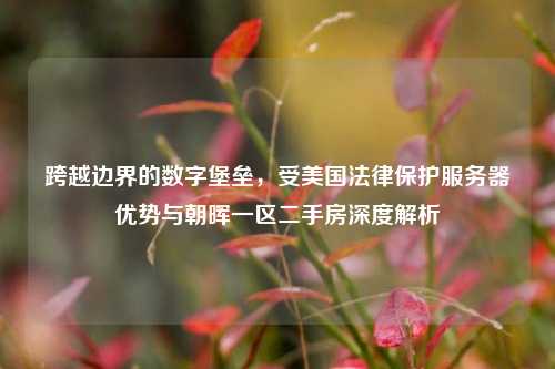 跨越边界的数字堡垒,受美国法律保护服务器优势与朝晖一区二手房深度解析