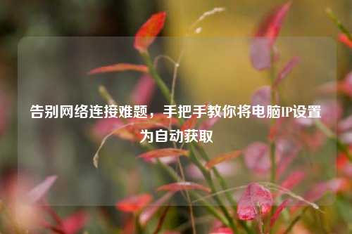 告别网络连接难题,手把手教你将电脑IP设置为自动获取