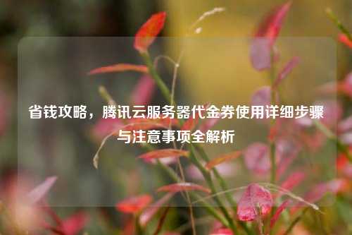 省钱攻略,腾讯云服务器代金券使用详细步骤与注意事项全解析