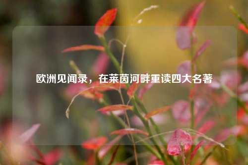 欧洲见闻录，在莱茵河畔重读四大名著