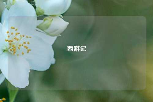西游记