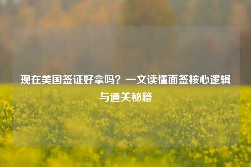 现在美国签证好拿吗？一文读懂面签核心逻辑与通关秘籍