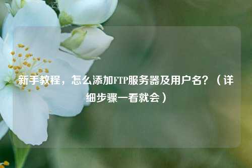 新手教程，怎么添加FTP服务器及用户名？（详细步骤一看就会）