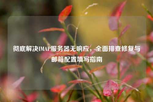 彻底解决IMAP服务器无响应，全面排查修复与邮箱配置填写指南