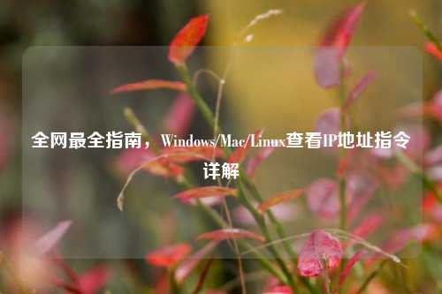 全网最全指南,Windows/Mac/Linux查看IP地址指令详解