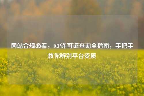 网站合规必看,ICP许可证查询全指南,手把手教你辨别平台资质
