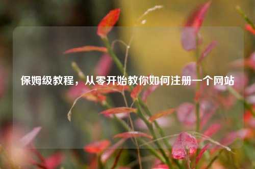 保姆级教程，从零开始教你如何注册一个网站