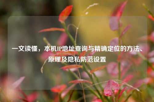 一文读懂，本机IP地址查询与精确定位的方法、原理及隐私防范设置