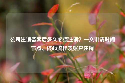 公司注销备案后多久必须注销?一文讲清时间节点、核心流程及账户注销
