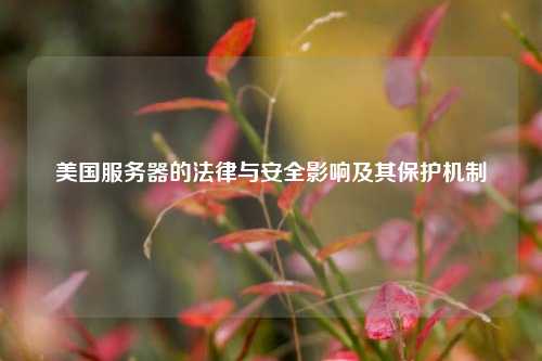 美国服务器的法律与安全影响及其保护机制