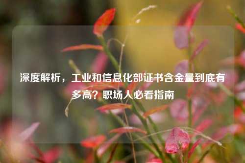深度解析,工业和信息化部证书含金量到底有多高?职场人必看指南