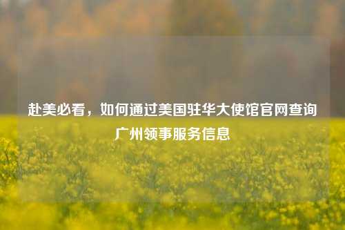 赴美必看，如何通过美国驻华大使馆官网查询广州领事服务信息