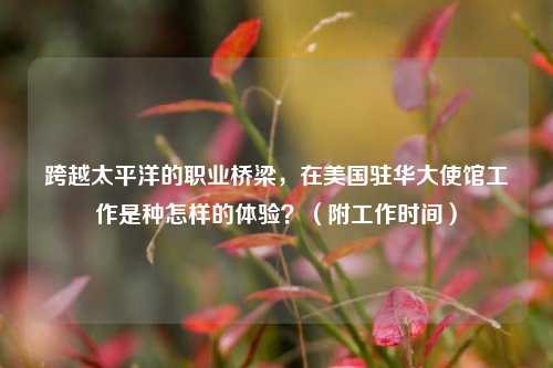 跨越太平洋的职业桥梁，在美国驻华大使馆工作是种怎样的体验？（附工作时间）