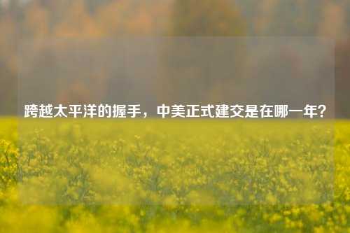 跨越太平洋的握手,中美正式建交是在哪一年?