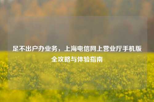 足不出户办业务，上海电信网上营业厅手机版全攻略与体验指南