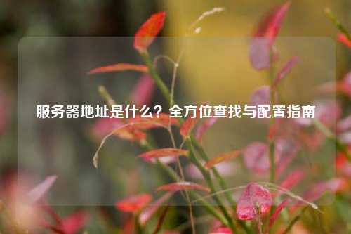 服务器地址是什么?全方位查找与配置指南