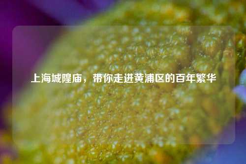 上海城隍庙,带你走进黄浦区的百年繁华