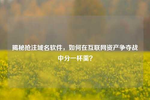 揭秘抢注域名软件，如何在互联网资产争夺战中分一杯羹？