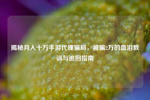 揭秘月入十万手游代理骗局,被骗2万的血泪教训与追回指南